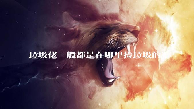 垃圾佬一般都是在哪里捡垃圾的？