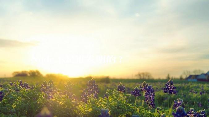 Node.js是谁发明的?