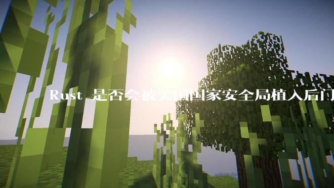 Rust 是否会被美国国家安全局植入后门？