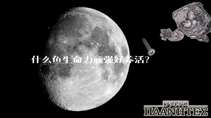 什么鱼生命力顽强好养活？