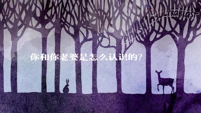 你和你老婆是怎么认识的？