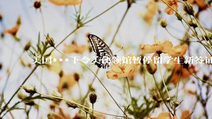 美国***下令美使领馆暂停留学生新签证面谈，将带来哪些影响？美国大学在全球人才竞争中还有优势吗？