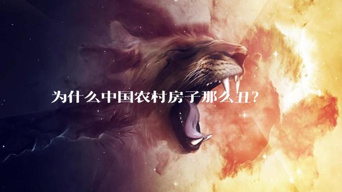 为什么中国农村房子那么丑？